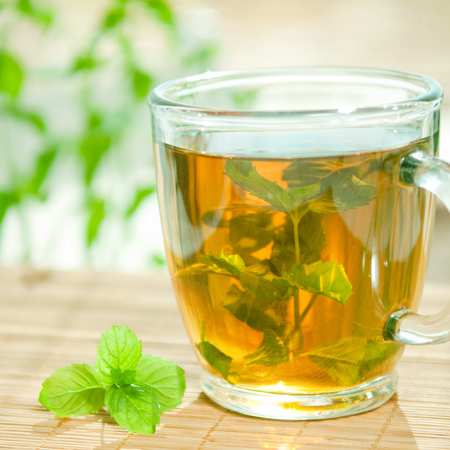 Organic Easy Queasy Tea