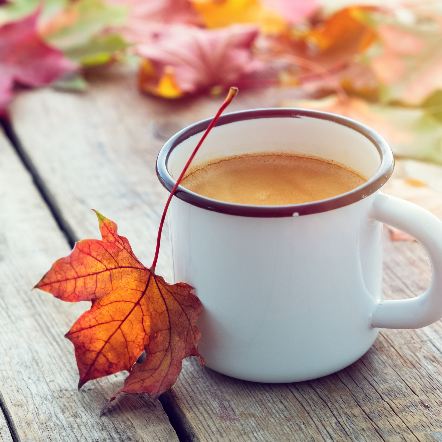 Organic Maple Ginger Tea