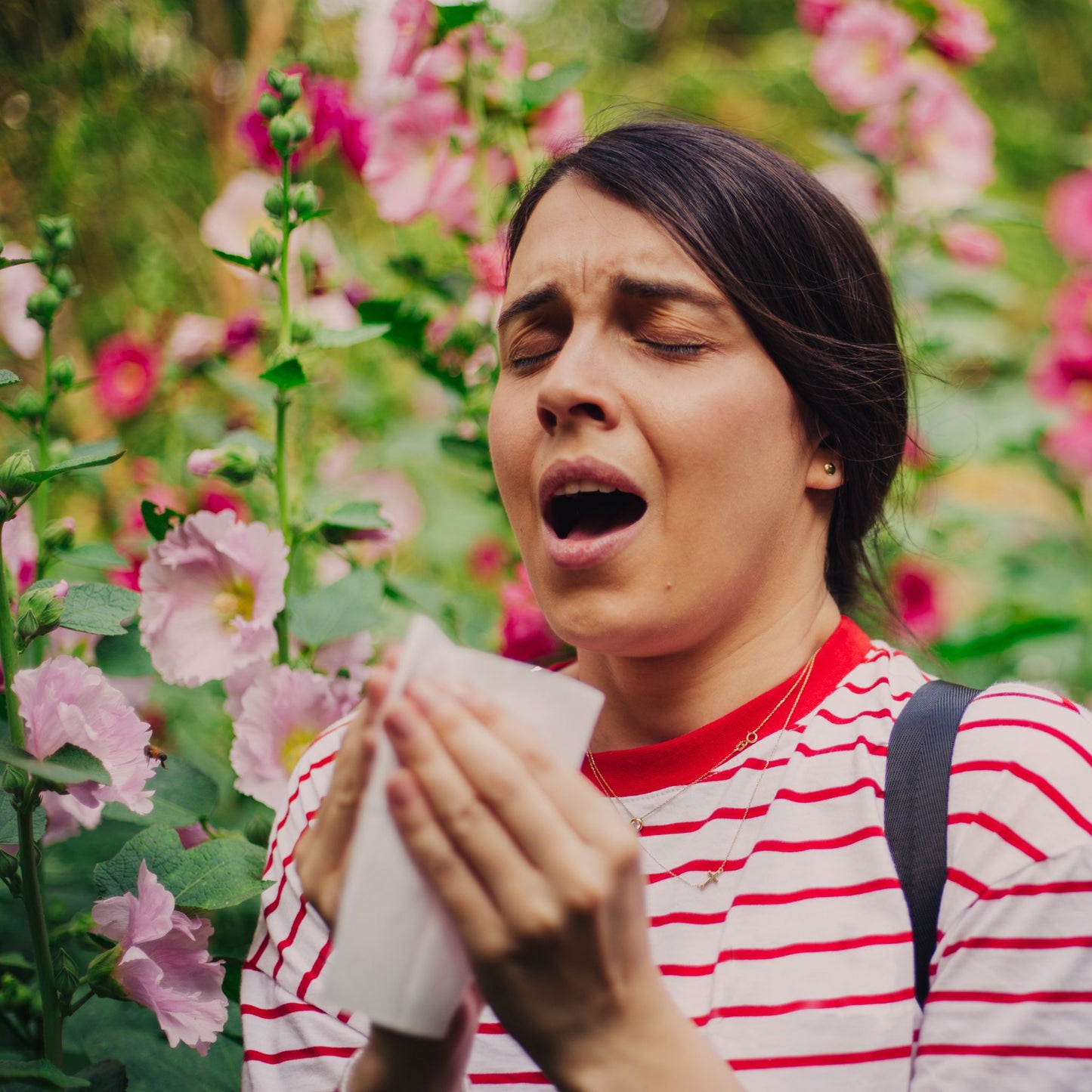 Organic Allergy Away Tea